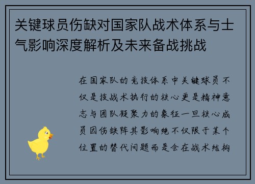 关键球员伤缺对国家队战术体系与士气影响深度解析及未来备战挑战